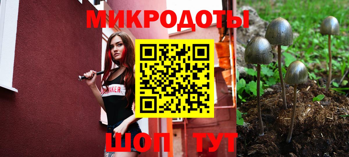 Галлюциногенные грибы Psilocybe  даркнет сайт  Отрадный  Вход с VPN 