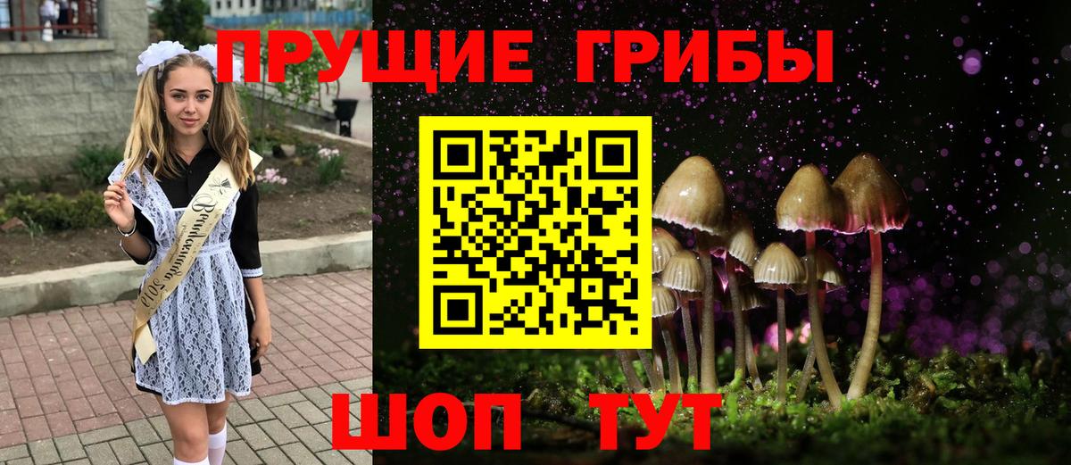 Псилоцибиновые грибы мицелий Отрадный